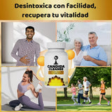 Candida Cleanse - Apoyo intestinal y colon, fórmula avanzada de probióticos y hierbas, fórmula herbaria natural, hoja de orégano, ajenjo, nuez negro, ácido caprílico-1 para hombres y mujeres, 60 cápsulas